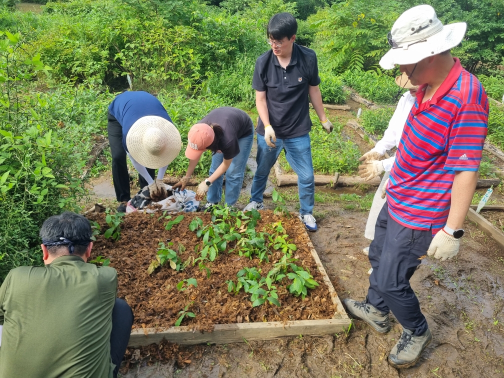 도심 속 나무심기(250904) 썸네일